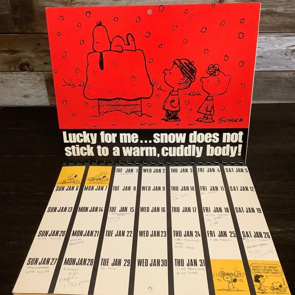 Vtg 1980 Peanuts Snoopy Calender Month To Month
